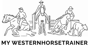 Ralf Birkenhof - Westerntrainer und Pferdetaxi